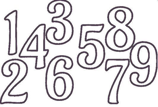 Wide Satin Outline Birthday Numbers Applique