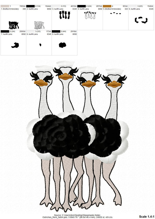 Fringed Ostrich Flock of 4