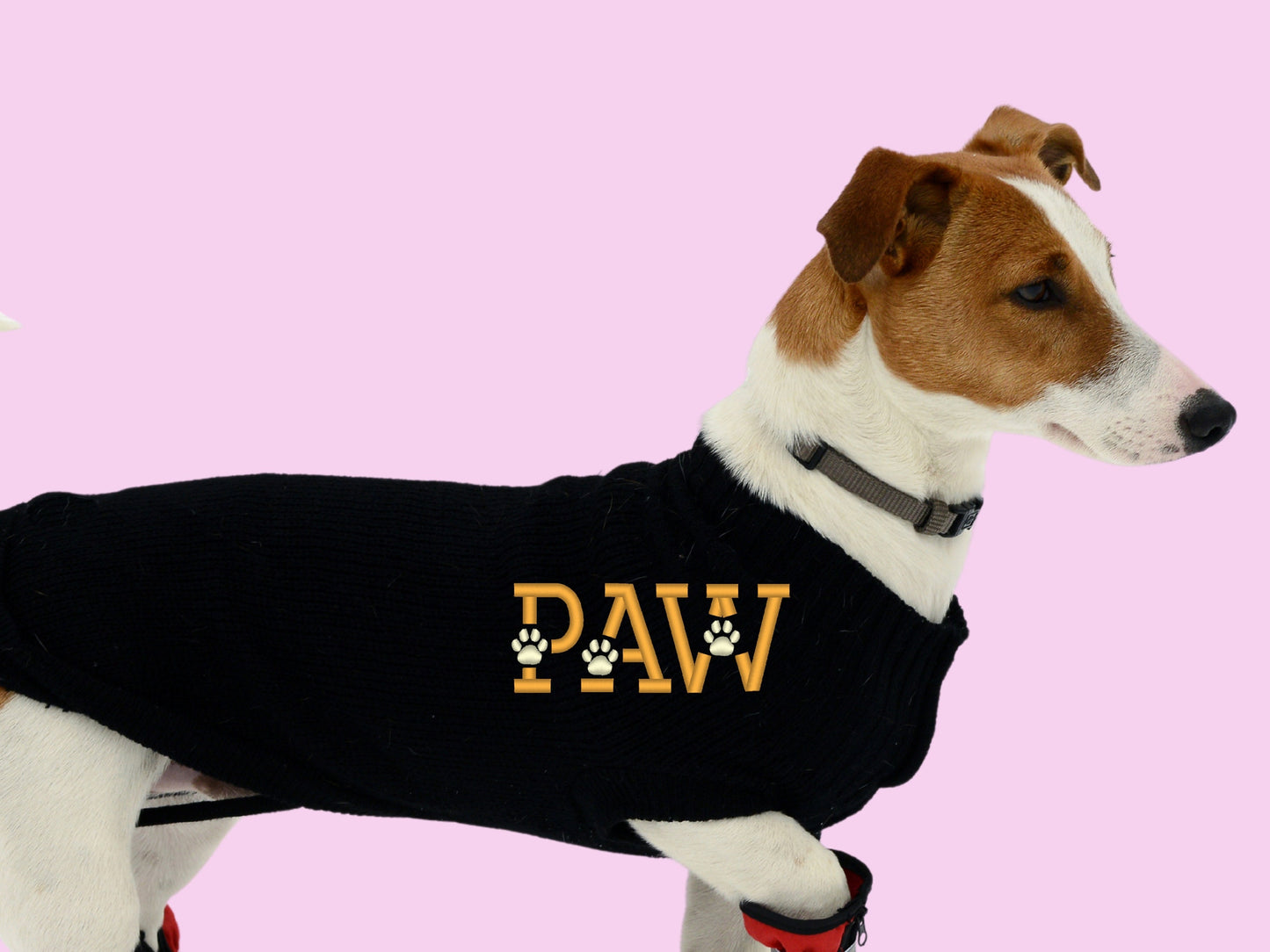 Puff Puffy Foam Dog Cat Paw Font