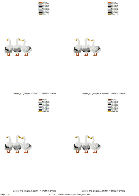 Fringed Goose Trio 3 in a row