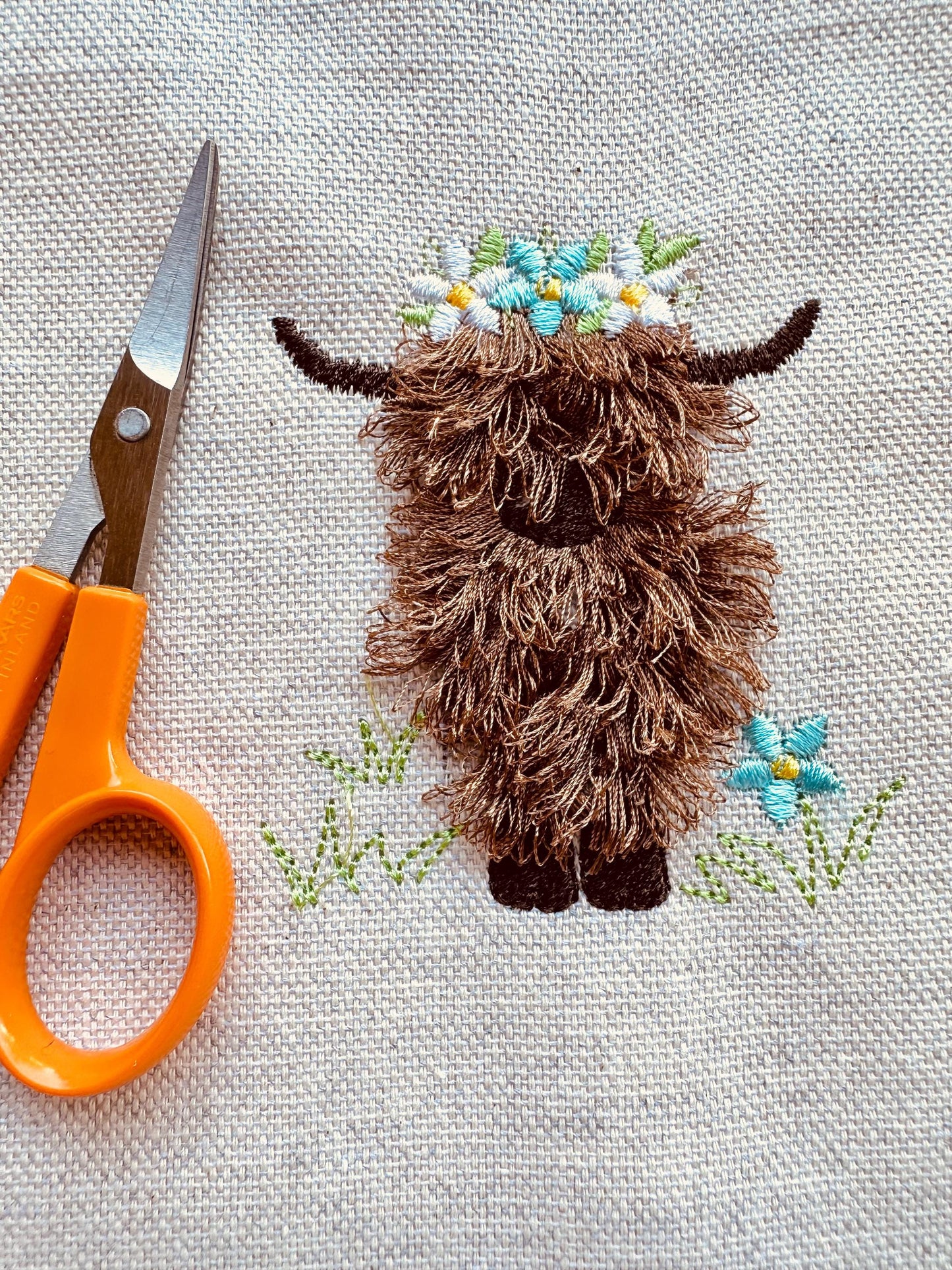 Fringed Longhorn Highland Cow Calf