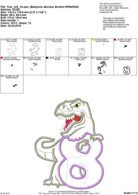 T-rex dinosaur Birthday number EIGHT 8 kids boy Birthday outfit machine