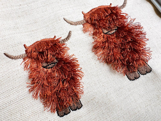 Fringed Longhorn Highland Cattle Cow