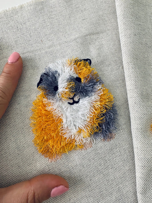 Fringed Cavy Guinea Pig Piggie