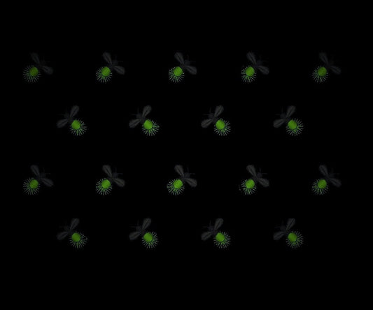 Magic Firefly Mini Sizes