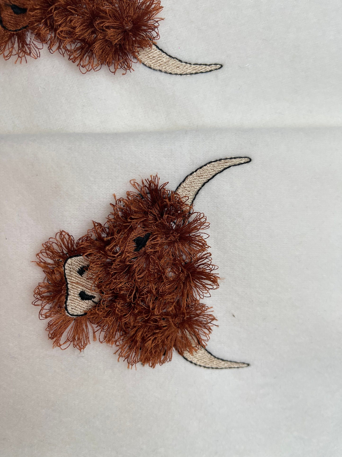 Fringed Highland Cattle Cow Scottish Breed