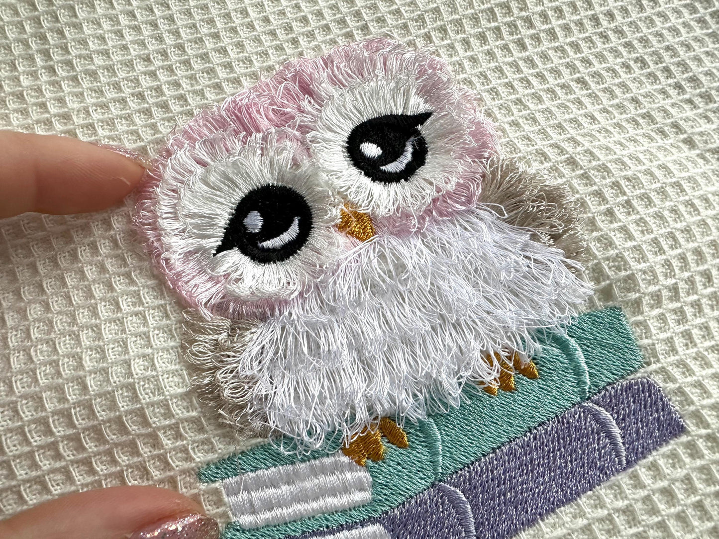 Cute Fringed Owl Reading Book