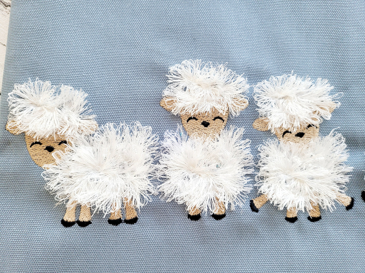 Cute Little Fringed Sheep Lamb