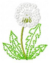 Mini Dandelion Flower Set of 3
