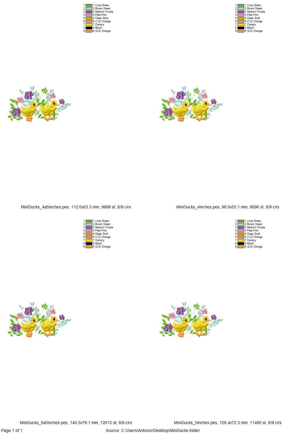 Fringed Little Ducks Floral Garden