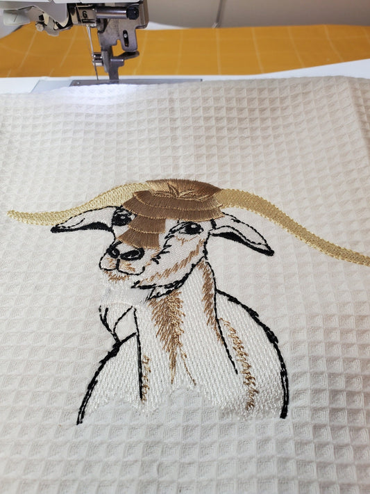 Cute Fringed Farm Goat