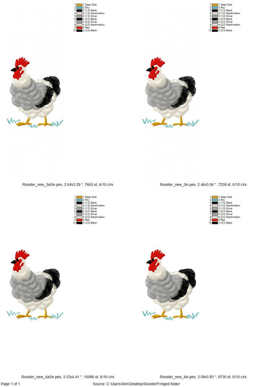 Fringed Farm Rooster