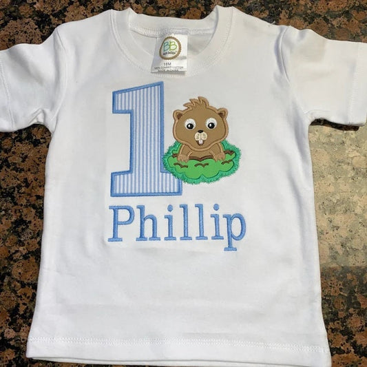 Bold Block Wide Satin Outline Classic Numbers