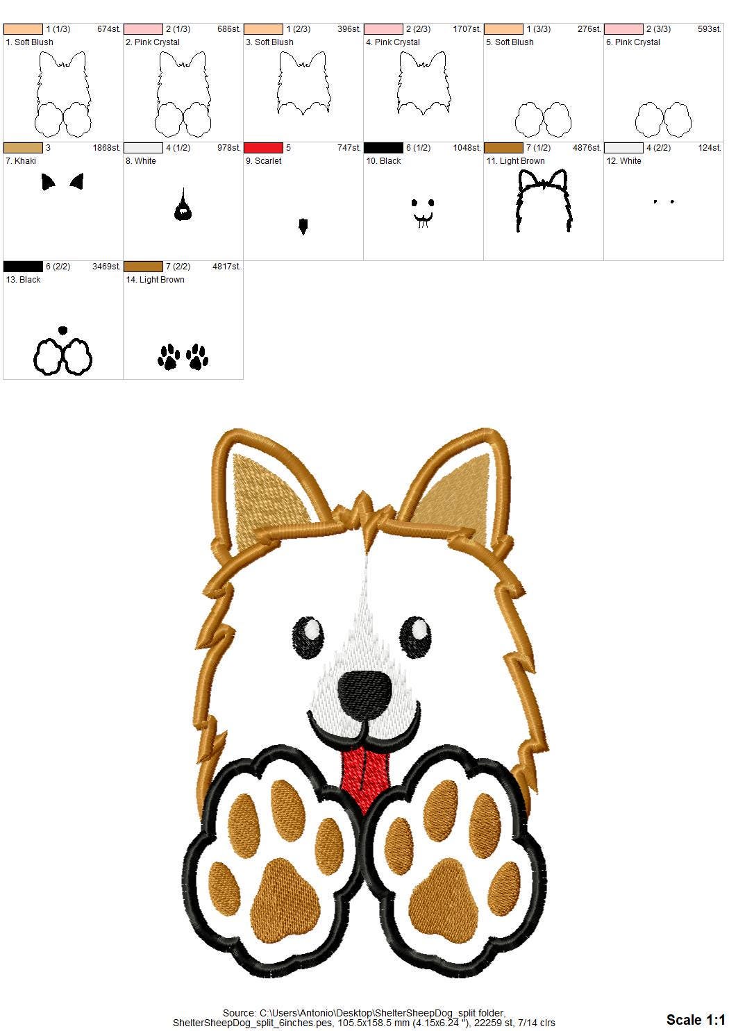 Shetland Sheepdog Sheltie Puppy