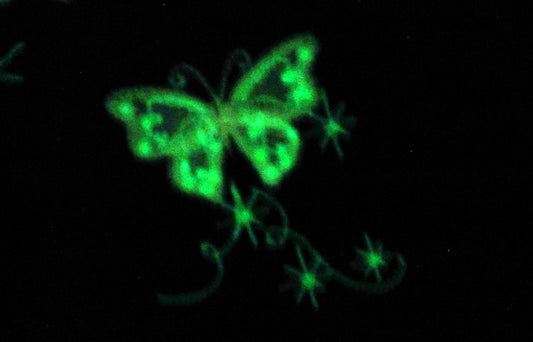 Magic Fairytale Butterfly