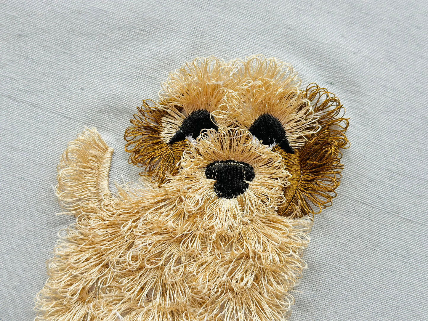 Fringed Cockapoo Dog Puppy