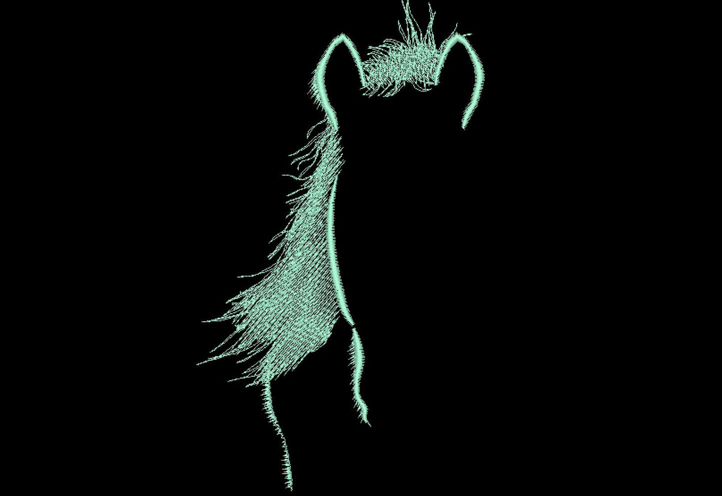 Magic Horse Outline - image 1