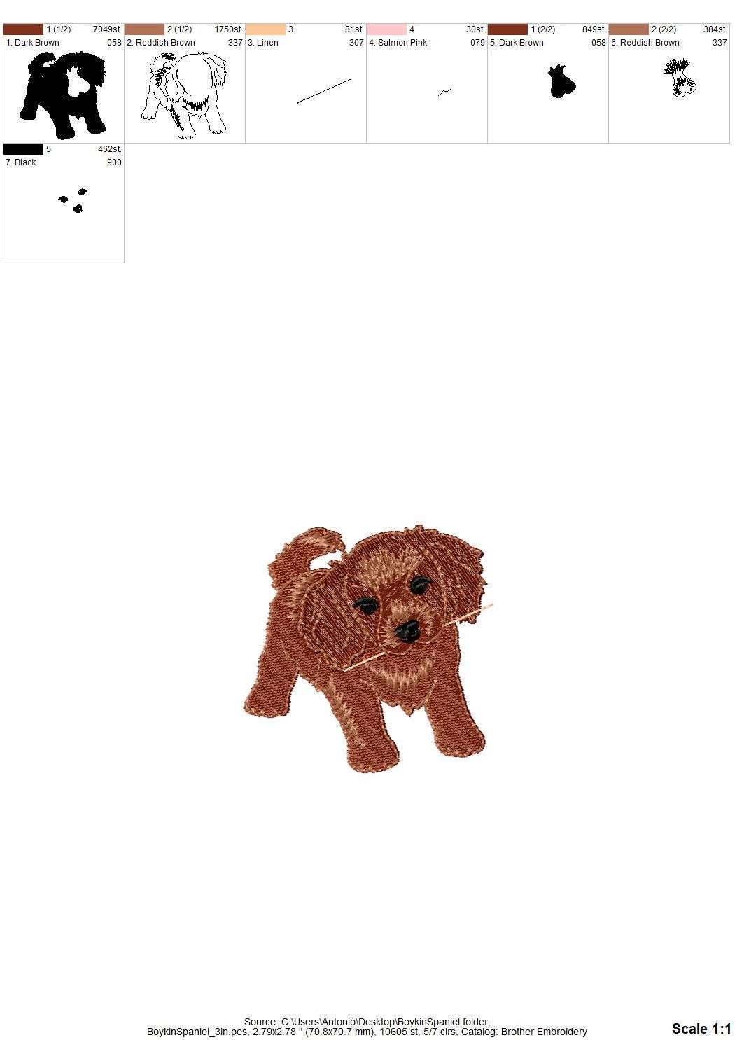Playing Boykin Spaniel Puppy