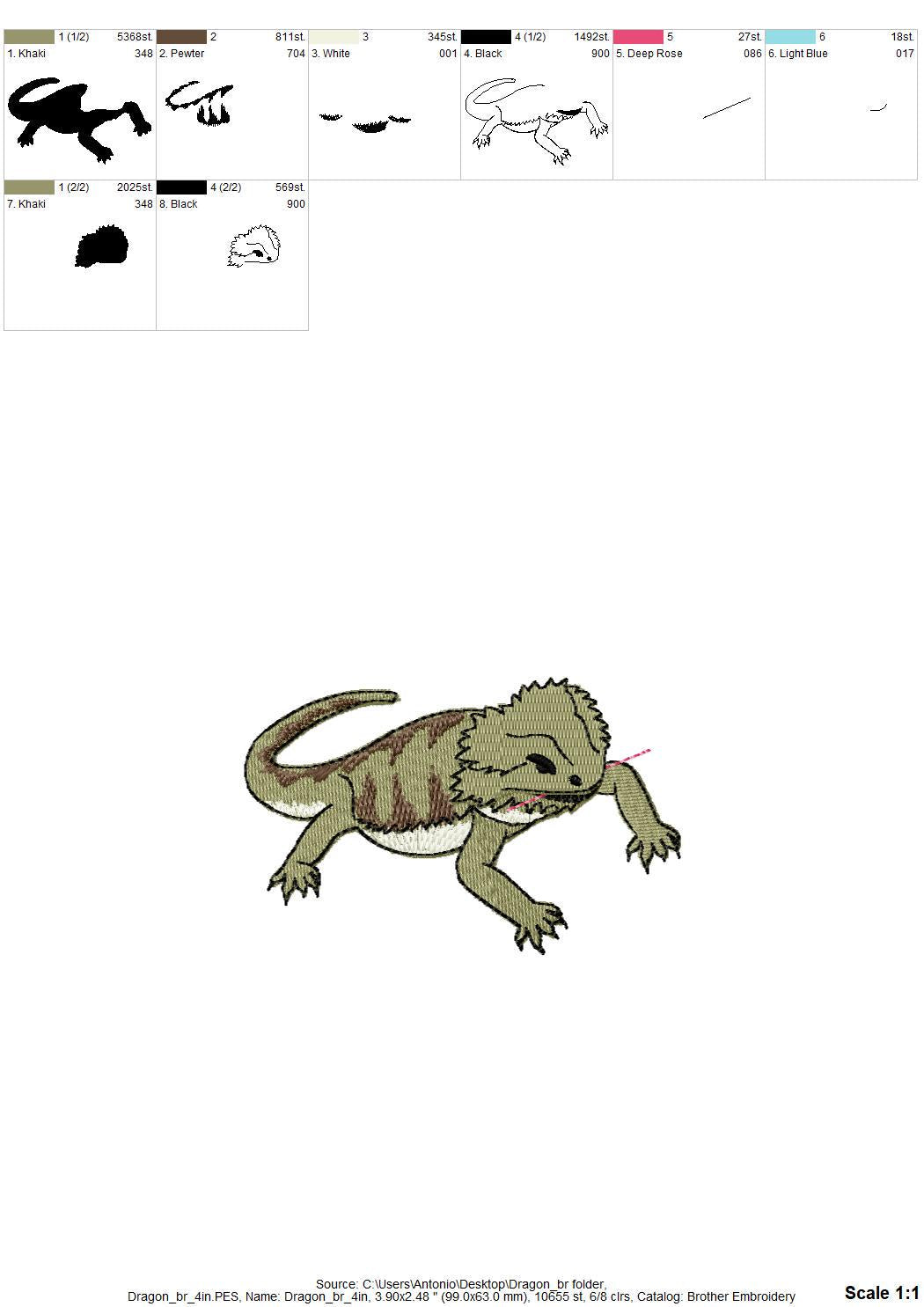 Playing Bearded Dragon Gecko