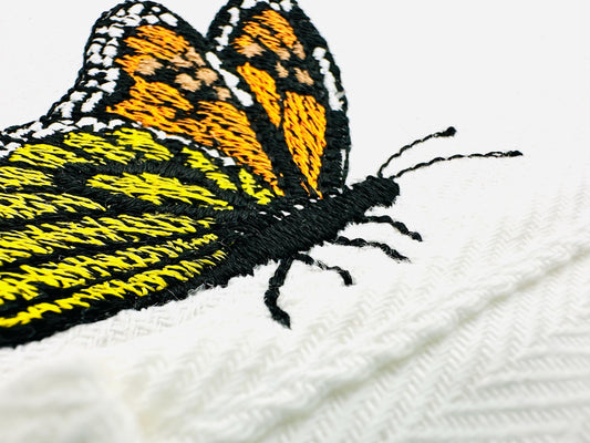 Beautiful Summer Butterfly Monarch