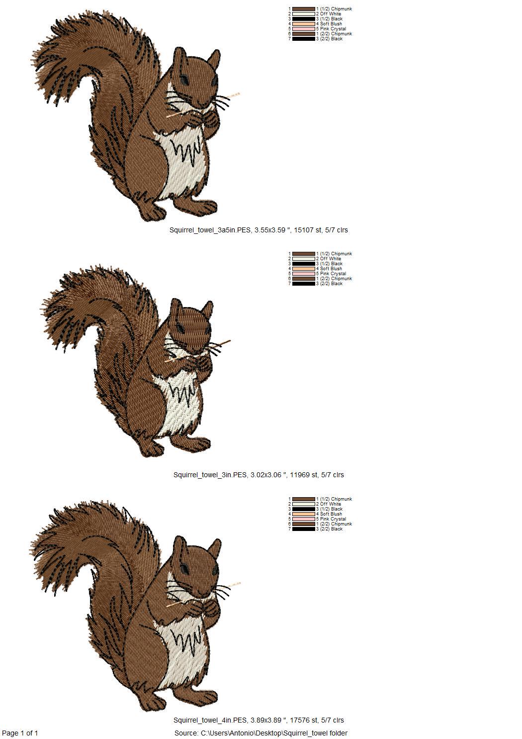 Lovely Squirrel ITH