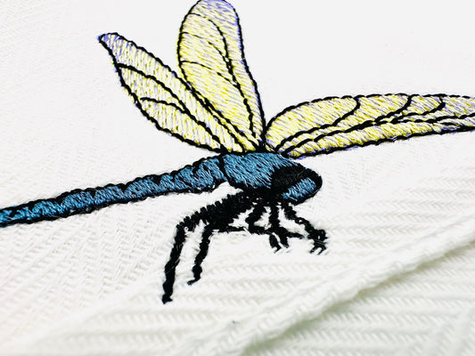 Summer Dragonfly Thief