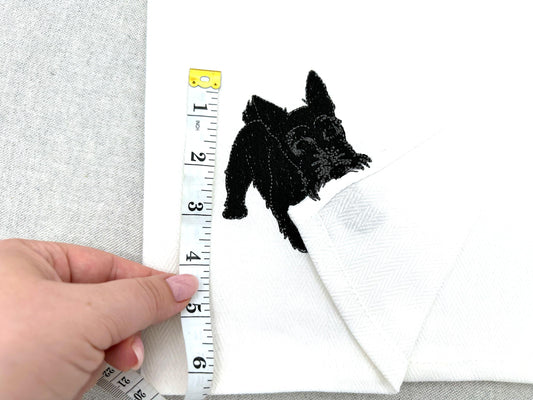 Playing Scottish Terrier Puppy