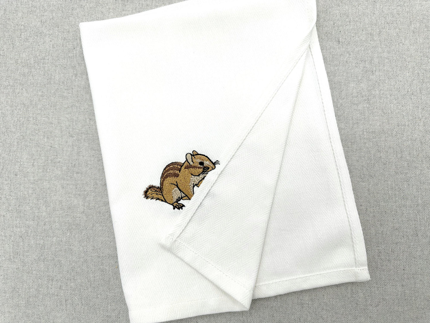 Cute Chipmunk Squirrel