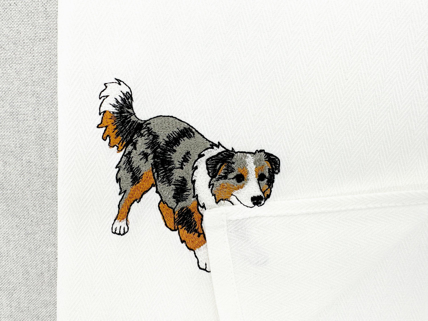 Australian Shepherd Puppy Thief