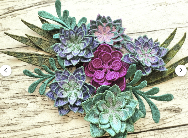 FSL the "Succulentes" Folders