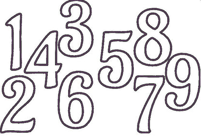 Wide Satin Outline Birthday Numbers Applique