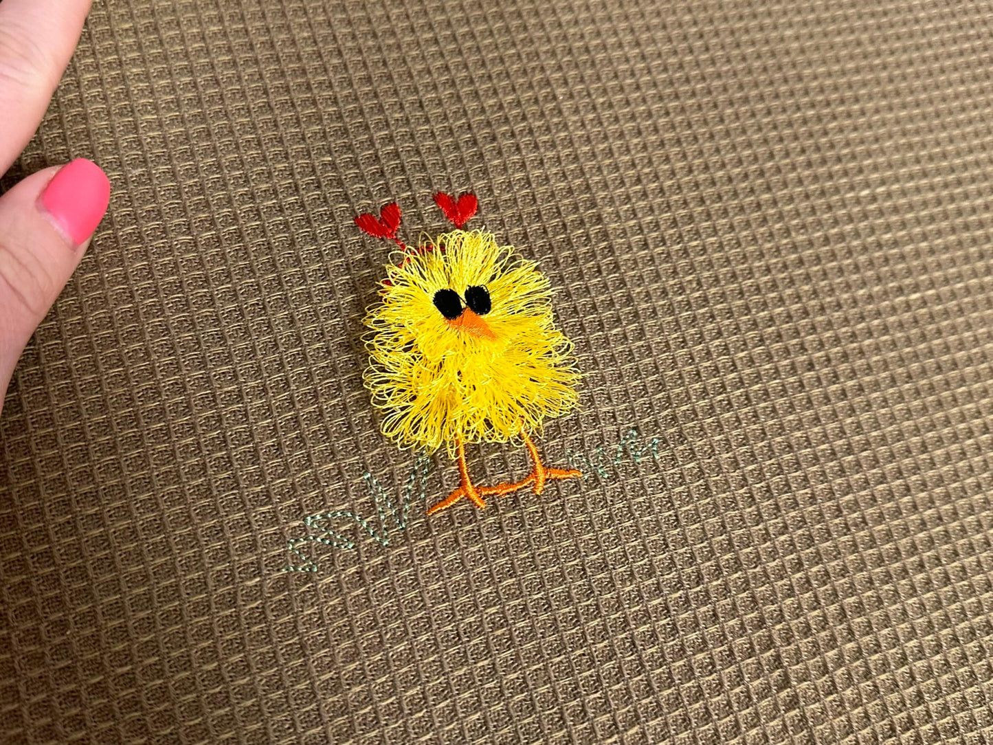 Fringed Valentine Chick