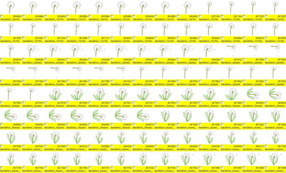 Dandelion set machine embroidery designs, for hoop 4x4 and 5x7