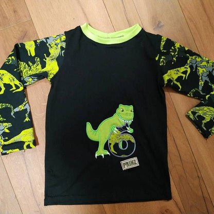 T-rex dinosaur Birthday number six 6 machine embroidery Birthday outfit
