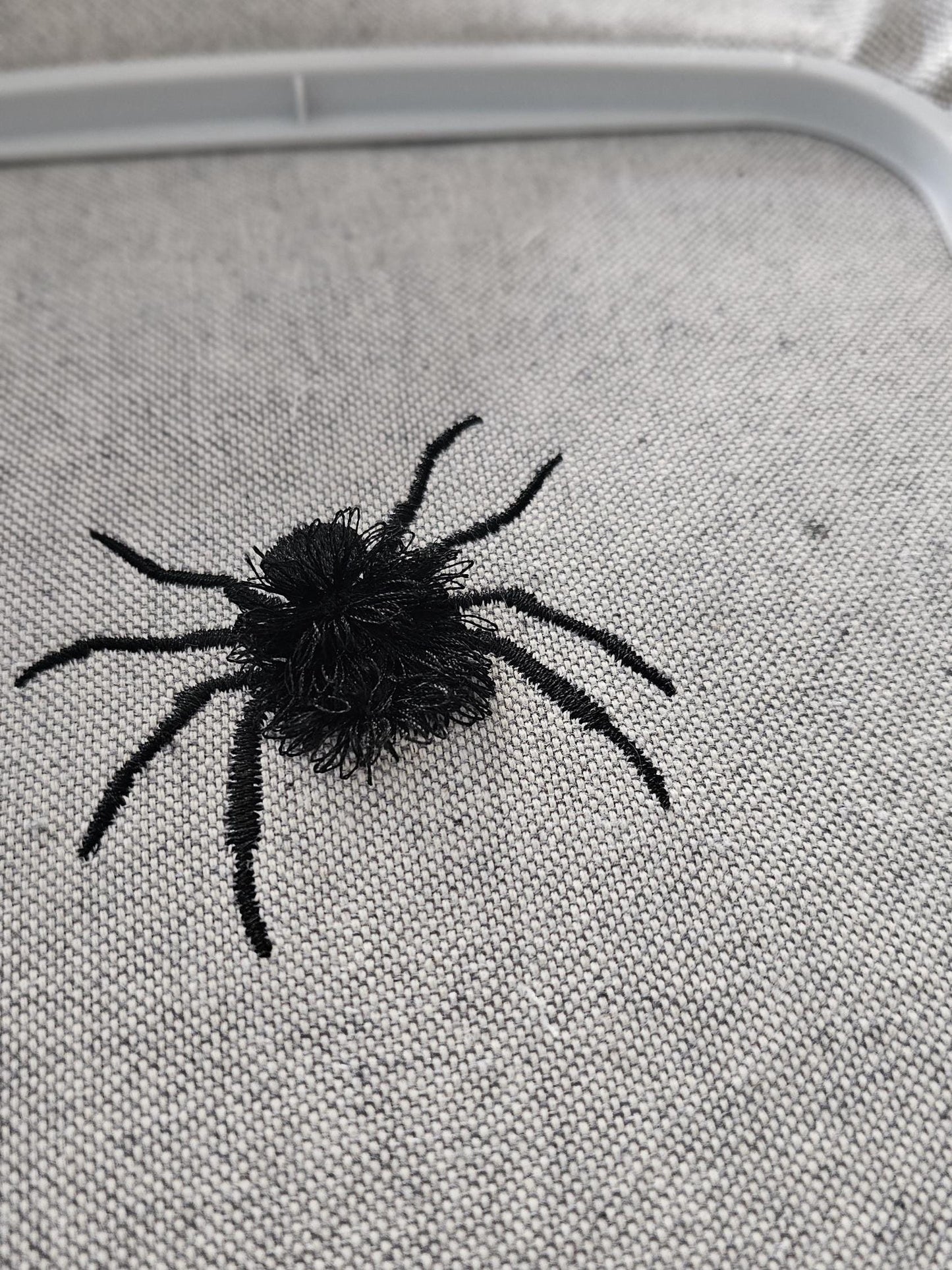 Fringed Spider