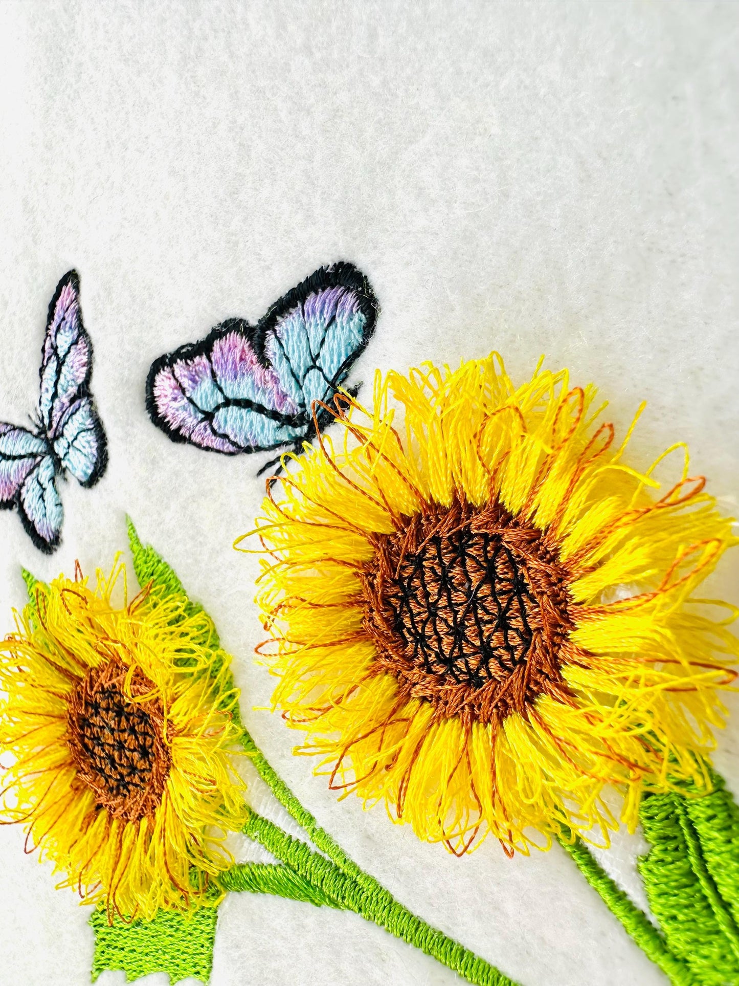 Two Fringed Sunflower and Butterfly