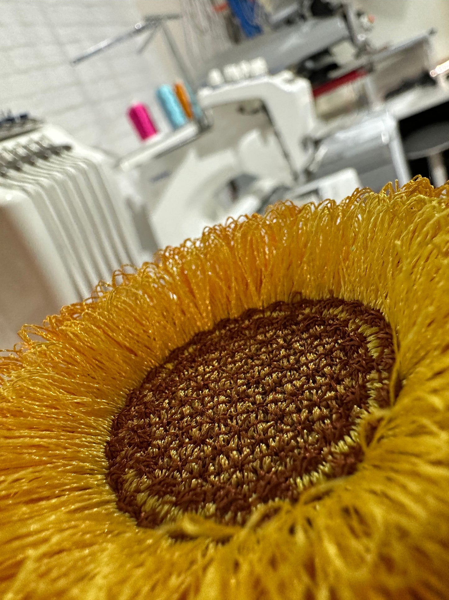 Big Fringed Sunflower Flower