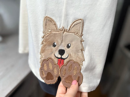 Shetland Sheepdog Sheltie Puppy