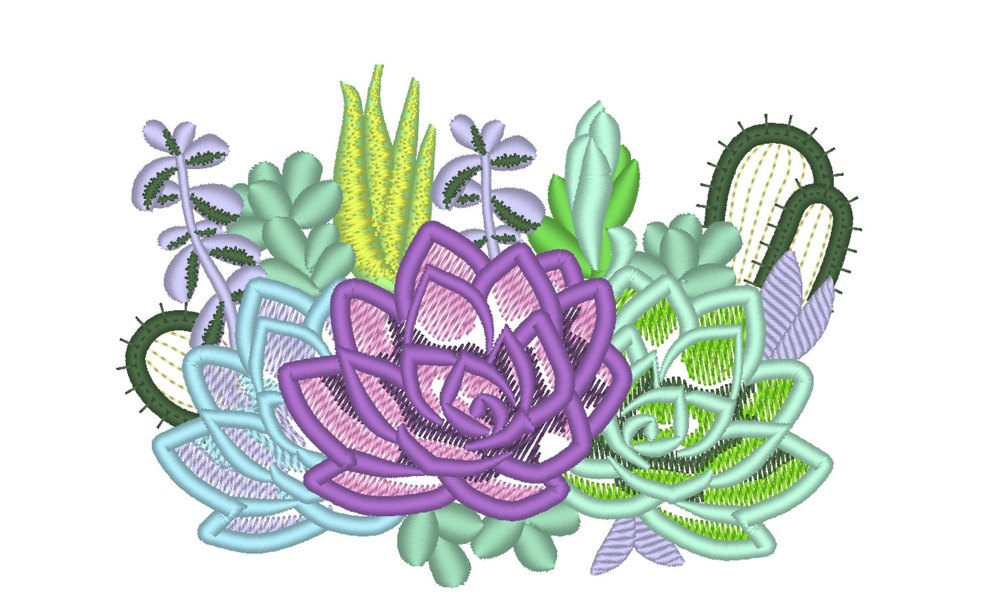 Succulent And Cactus Flower