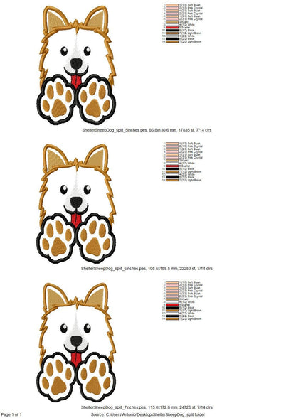 Shetland Sheepdog Sheltie Puppy