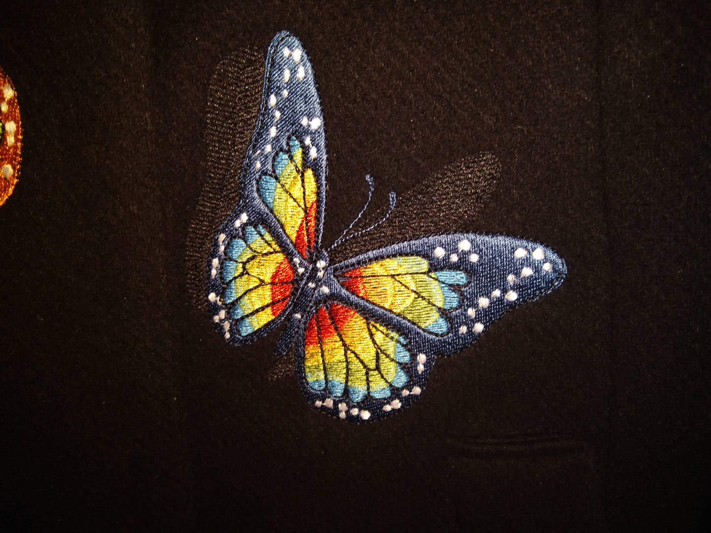 Realistic Butterfly with Shadow
