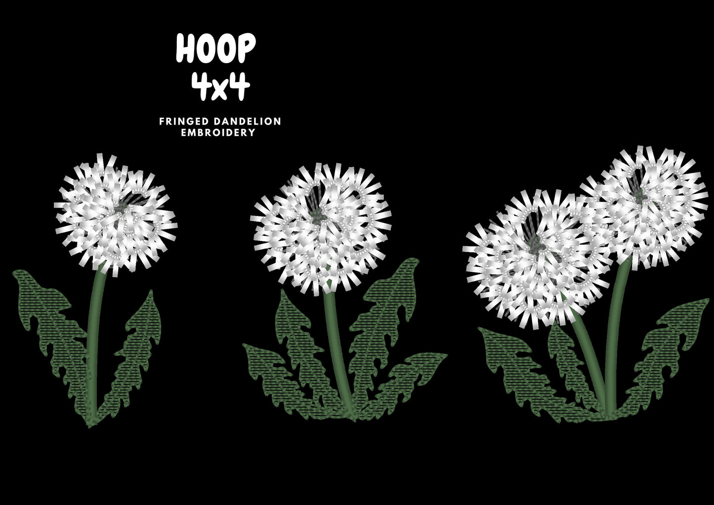 Fringed Dandelion Flower