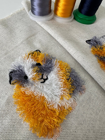 Fringed Cavy Guinea Pig Piggie