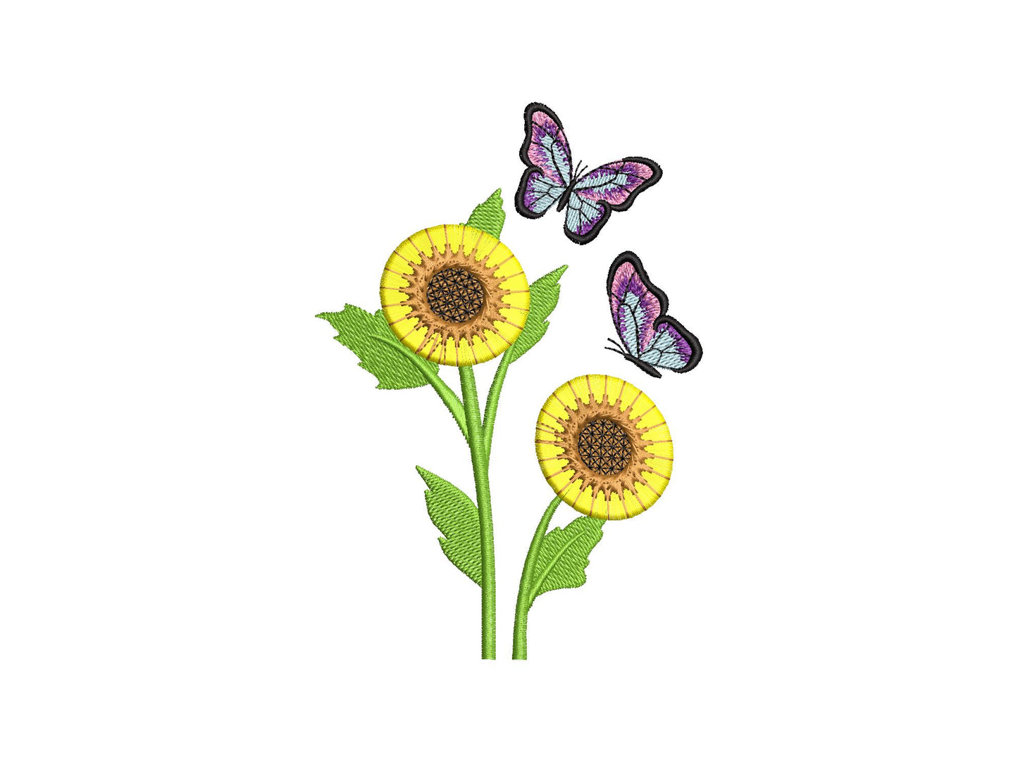 Two Fringed Sunflower and Butterfly