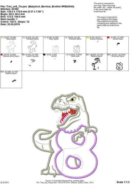 T-rex dinosaur Birthday number EIGHT 8 kids boy Birthday outfit machine