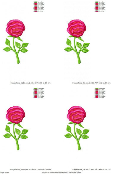 Awesome Fringed Rose Flower