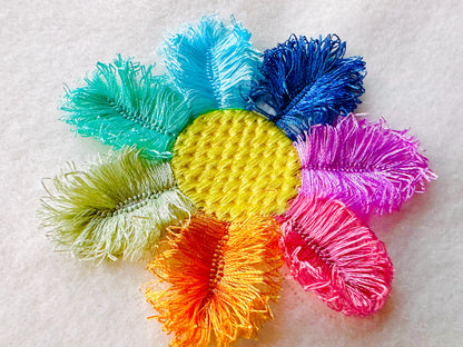 Multicolored Fringed Daisy