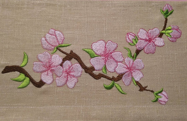 Sakura Cherry Blossom