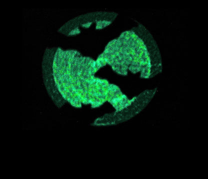 Magic Bat in Moon Night