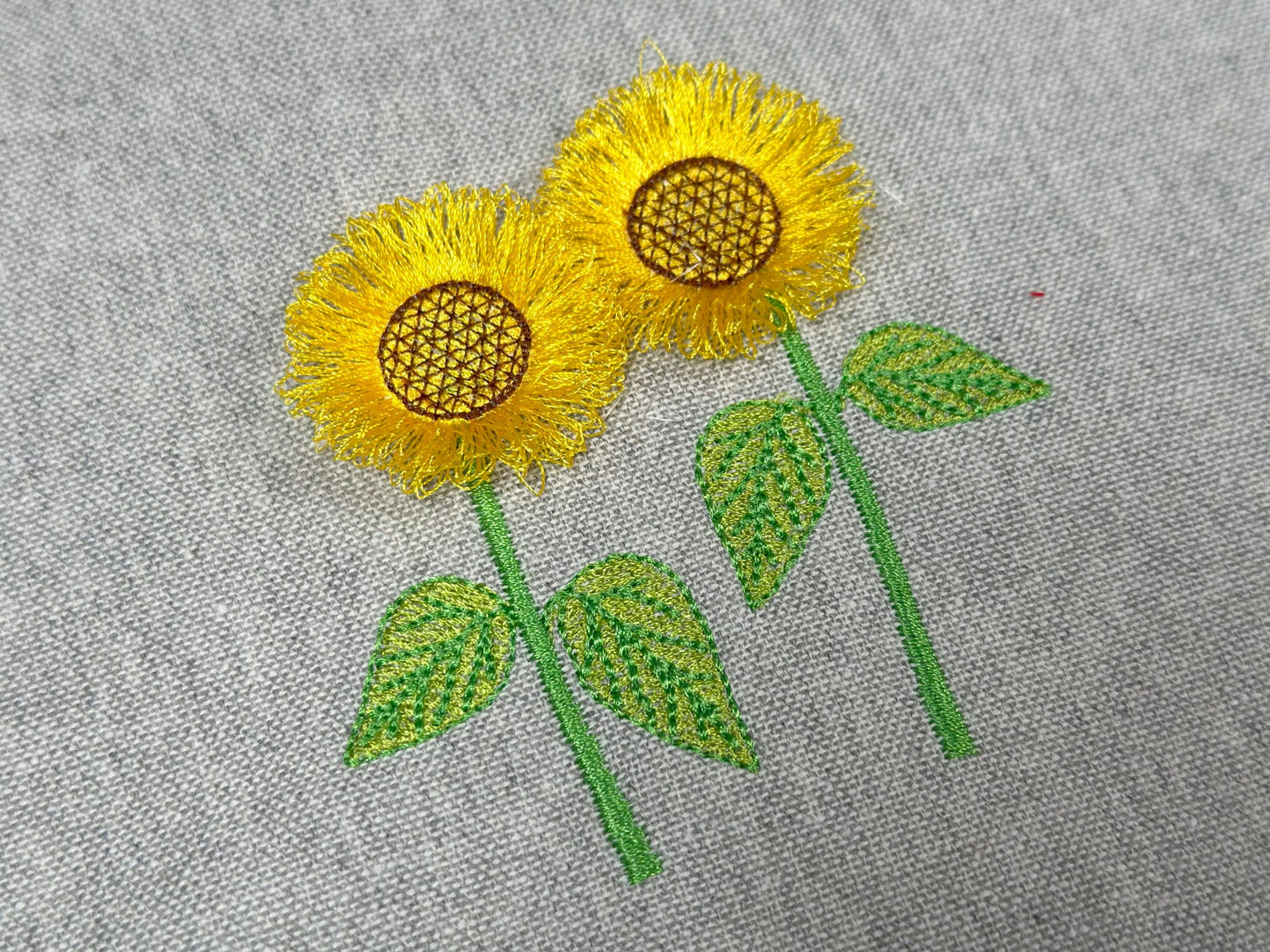 Two Fringed Sunflower Stems in a row